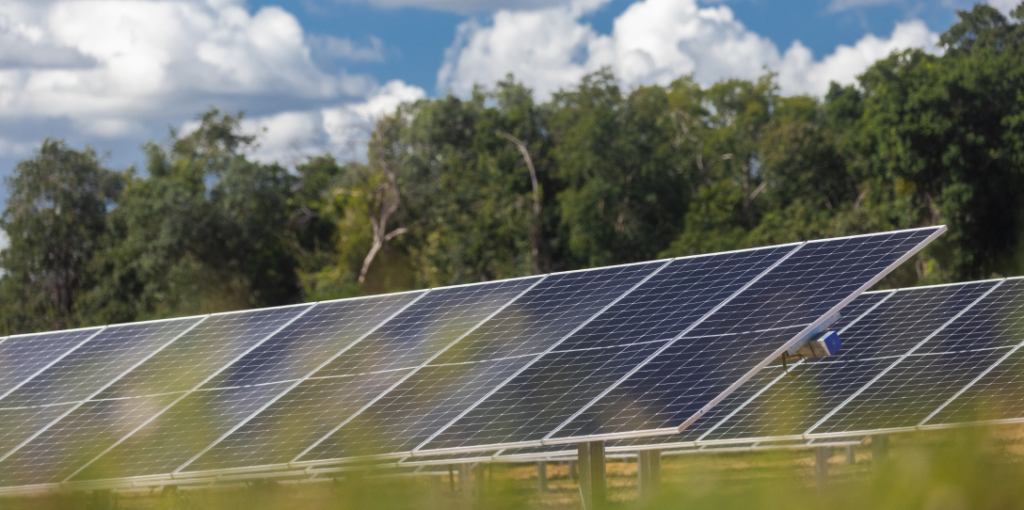 Rede de painéis solares na frente de árvores. O que é eficiência energética e como implementá-la na sua rotina e empresa