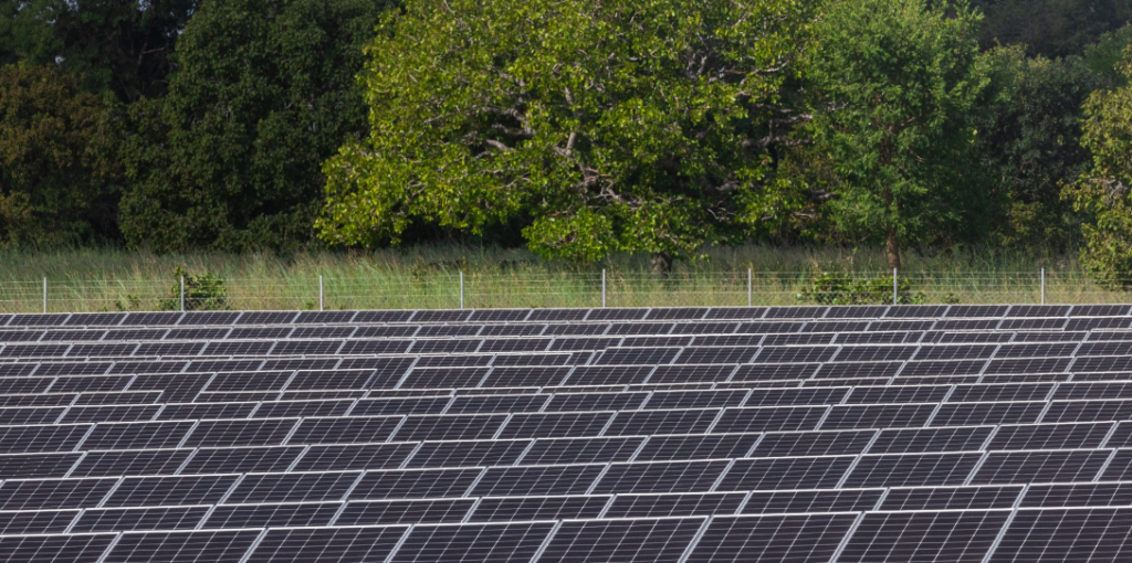 O que é Relatório de Sustentabilidade, para que serve, importância e como fazer um na sua empresa. Rede de painéis solares